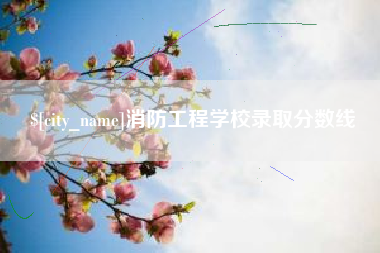 淄博消防工程学校录取分数线