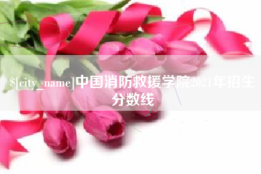 淄博中国消防救援学院2021年招生分数线