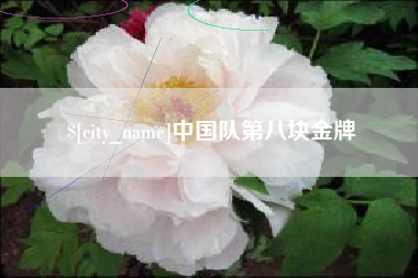 淄博中国队第八块金牌