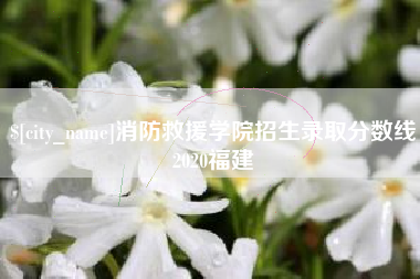淄博消防救援学院招生录取分数线2020福建