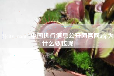 淄博中国执行信息公开网官网app为什么要钱呢