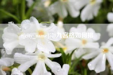 淄博579九宫格如何排