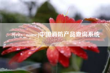 淄博中国消防产品查询系统