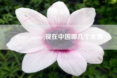 淄博现在中国哪几个金牌
