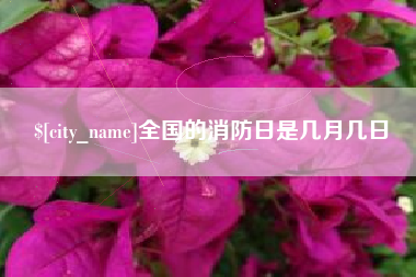 淄博全国的消防日是几月几日