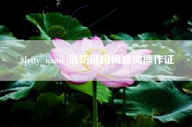 淄博消防证国网查询操作证