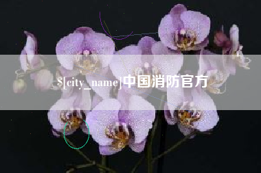 淄博中国消防官方