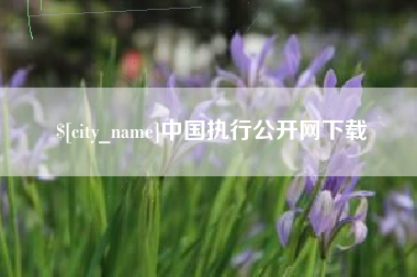 淄博中国执行公开网下载