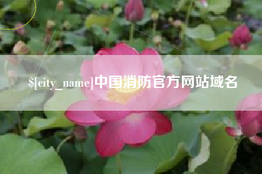 淄博中国消防官方网站域名