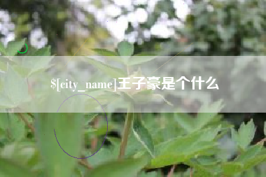 淄博王子豪是个什么