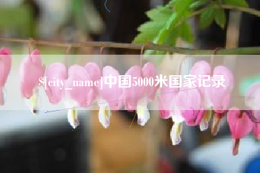 淄博中国5000米国家记录