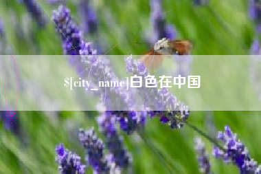 淄博白色在中国