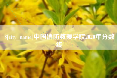 淄博中国消防救援学院2020年分数线