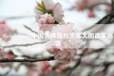 淄博中国金牌图片大全大图真实高清