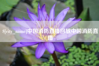 淄博中国消防直播回放中国消防直播
