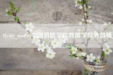 淄博中国消防学院救援学院分数线