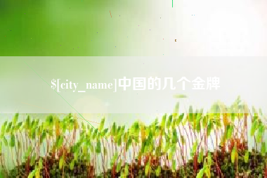 淄博中国的几个金牌