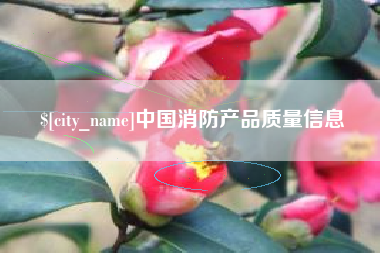 淄博中国消防产品质量信息
