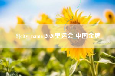 淄博2020奥运会 中国金牌