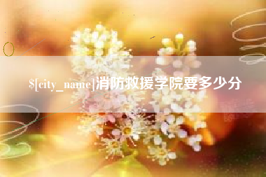 淄博消防救援学院要多少分