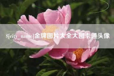 淄博金牌图片大全大图卡通头像