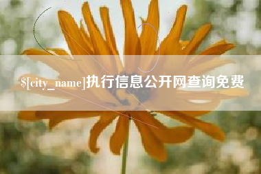 淄博执行信息公开网查询免费