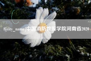淄博中国消防救援学院河南省2020